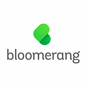 Bloomerang icon