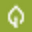 Sprout Builder icon