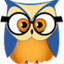 Stat Owl icon