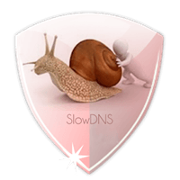 SlowDNS icon