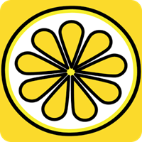 Lemon Group Messenger icon