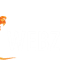 Webzilla Instant Files icon