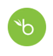 bambooHR icon
